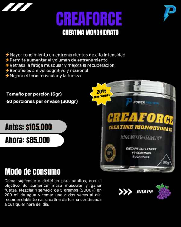 CREATINA MONOHIDRATO (60 servicios) - Image 2