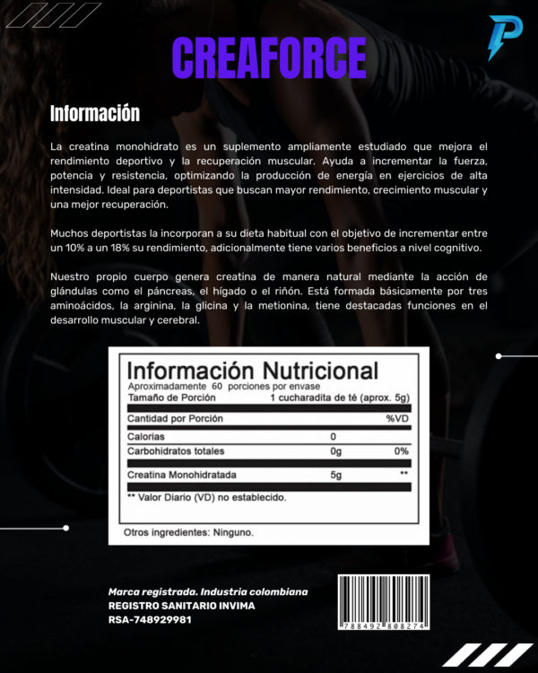 CREATINA MONOHIDRATO (60 servicios) - Image 3